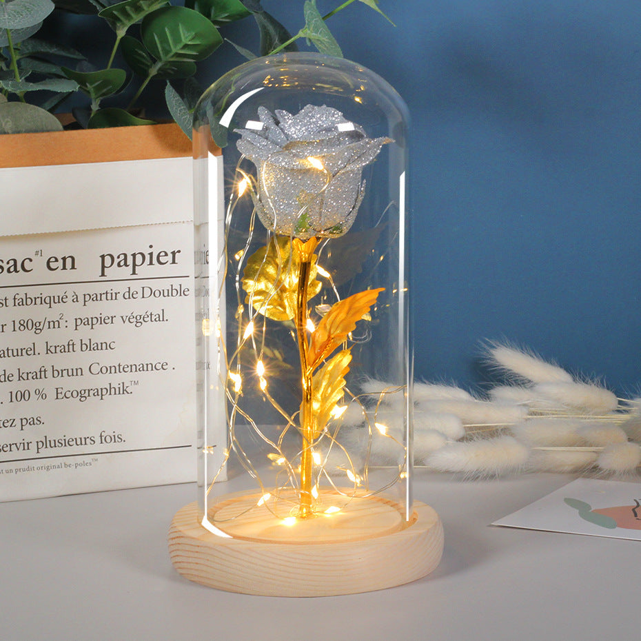 Eternal Rose LED Light in Glass – Valentine’s Gift for Her