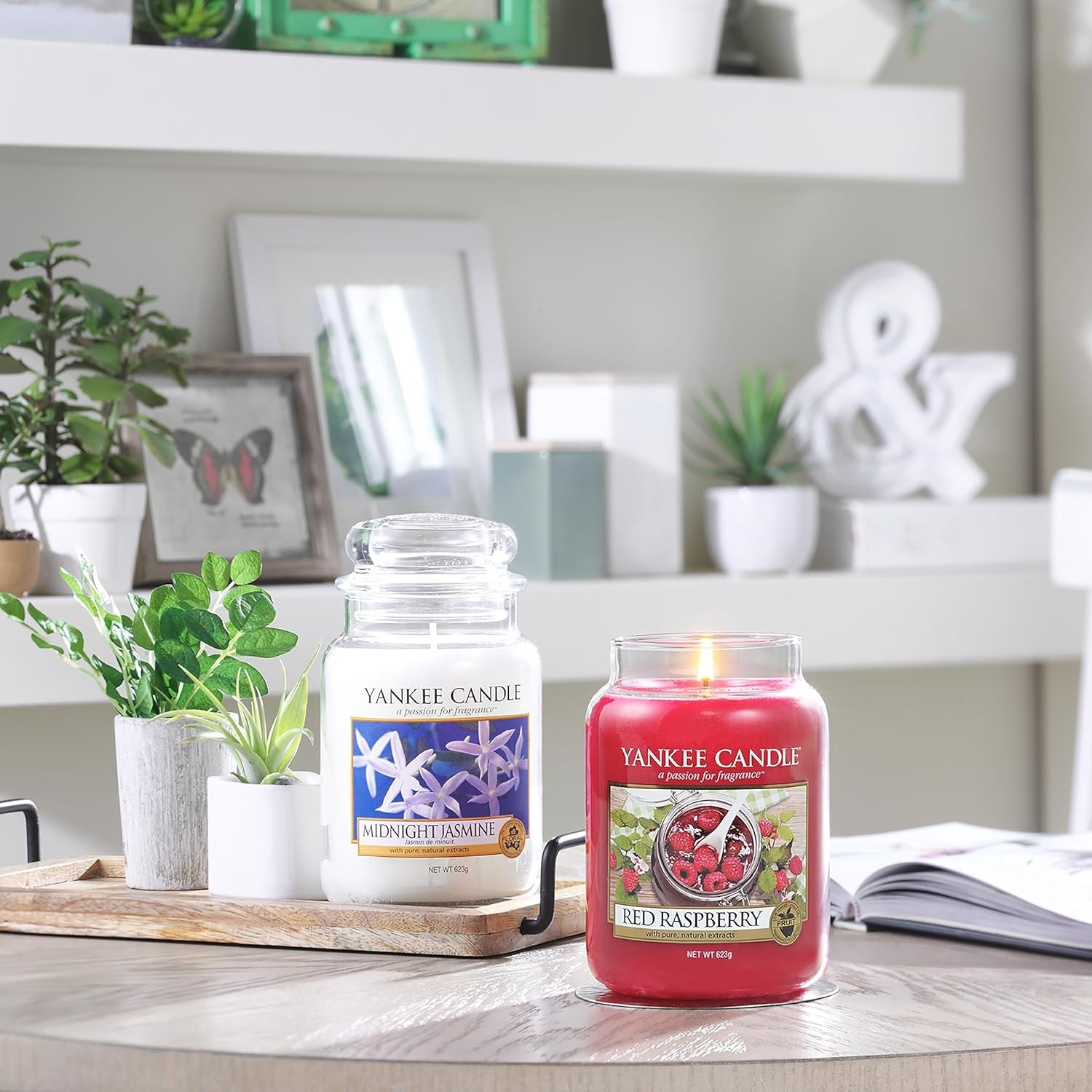 Scented Candle | Midnight Jasmine Large Jar Candle | Long Burning Candles: up to 150 Hours | Perfect Gifts for Women